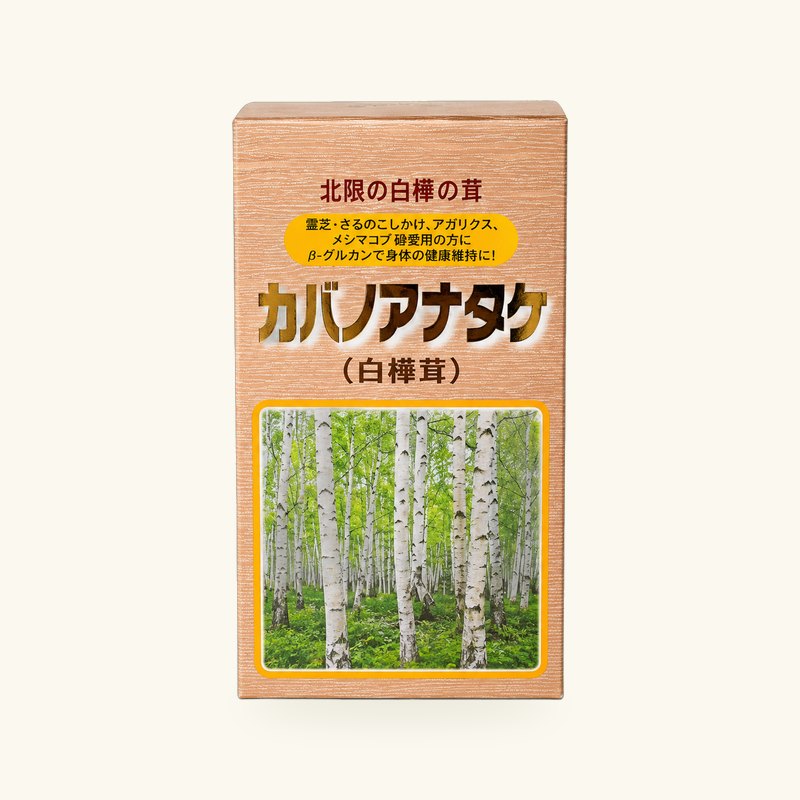 カバノアナタケ（白樺茸）